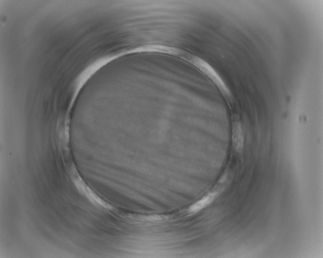 X0000081491292200701262044