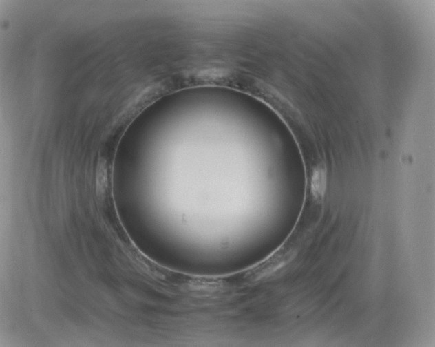 X0000081491299200701262043