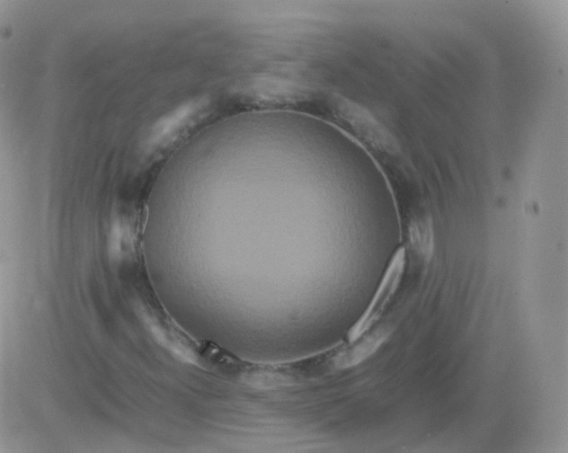 X0000081491300200701262043