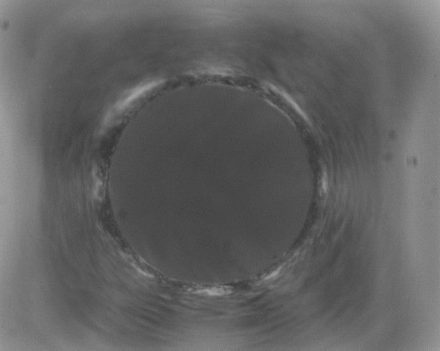 X0000081491303200701262043