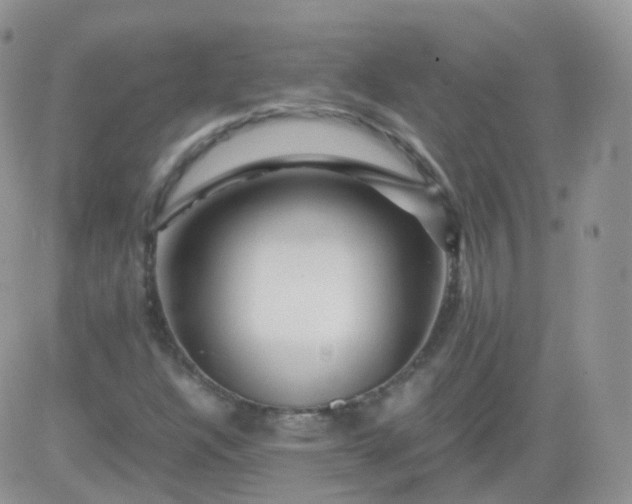 X0000081491304200701262043