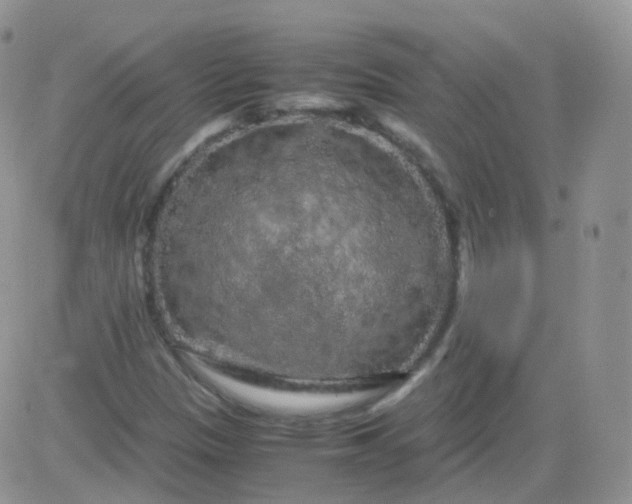 X0000081491305200701262043