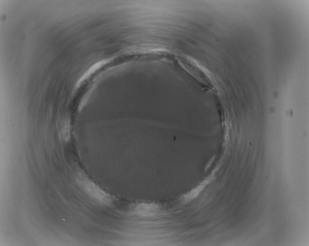 X0000081491306200701262043