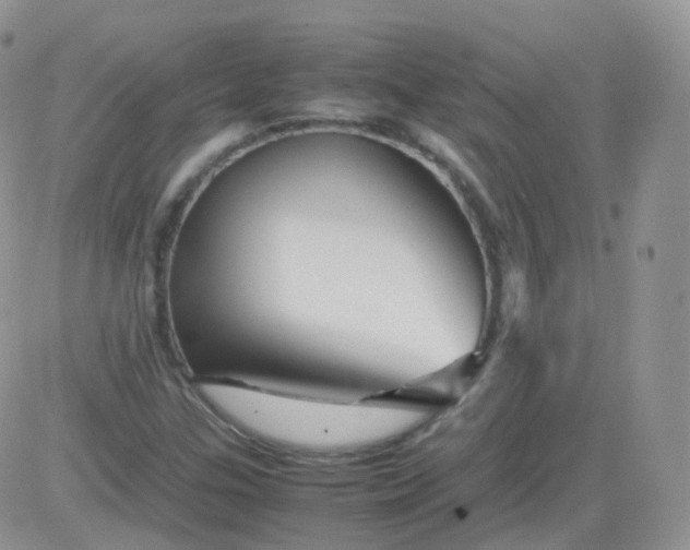 X0000081491307200701262043