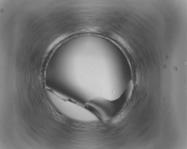 X0000081491308200701262043