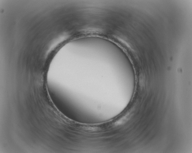 X0000081491309200701262043