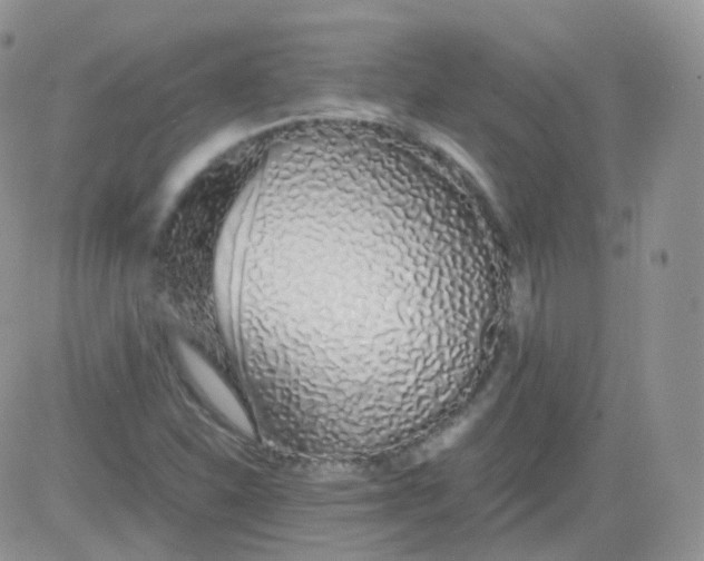 X0000081491310200701262043