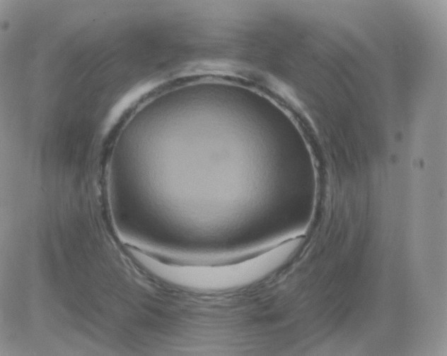 X0000081491312200701262044