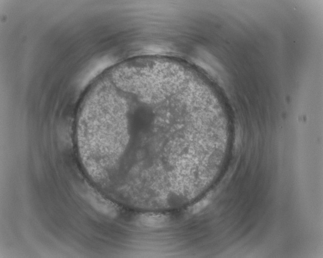 X0000081491314200701262044