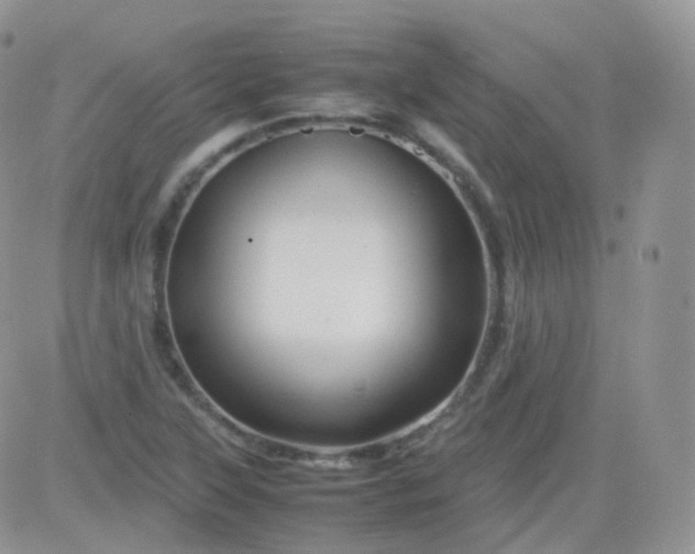 X0000081491315200701262044