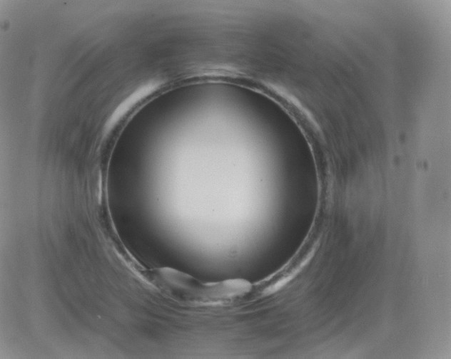 X0000081491317200701262044