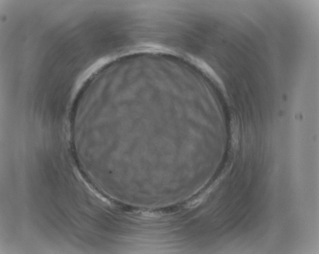 X0000081491318200701262044