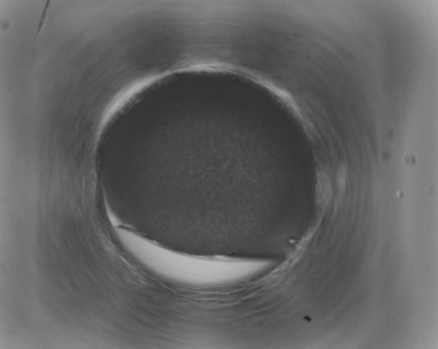 X0000081491319200701262044