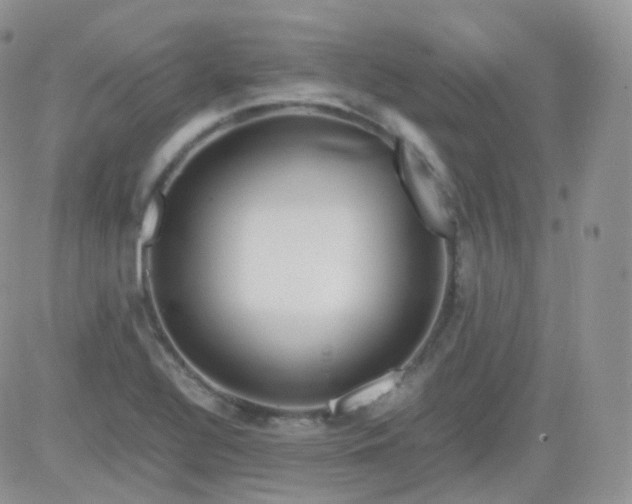 X0000081491320200701262044