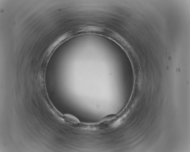 X0000081491321200701262044