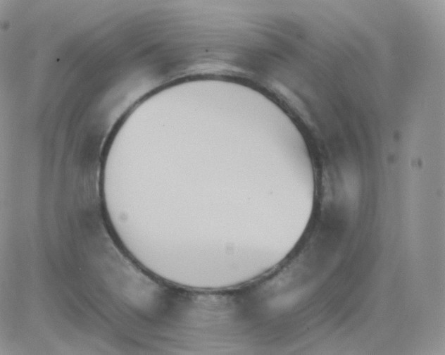 X0000081491322200701262044