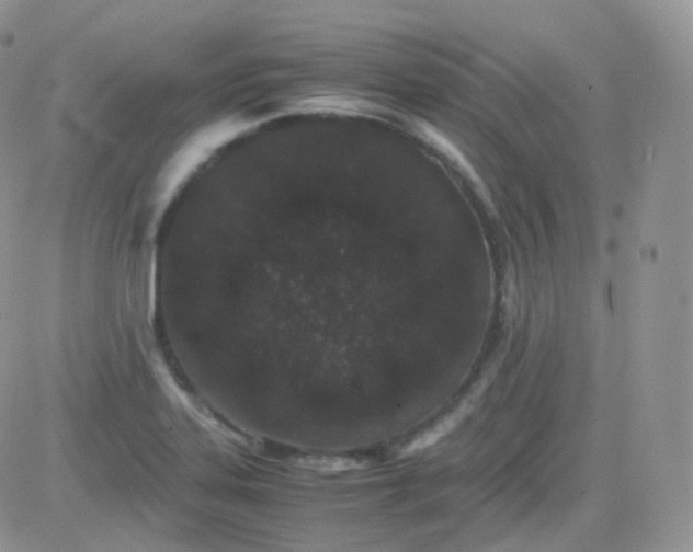 X0000081491323200701262044