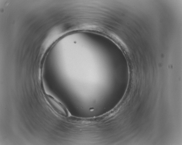 X0000081491324200701262044