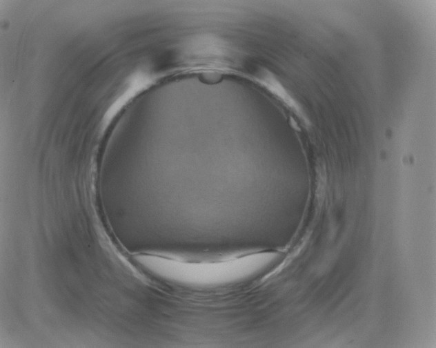 X0000081491325200701262044