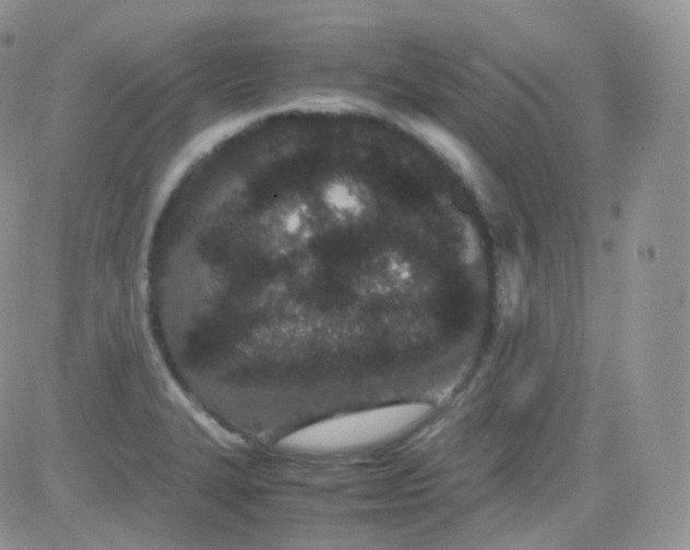 X0000081491327200701262044