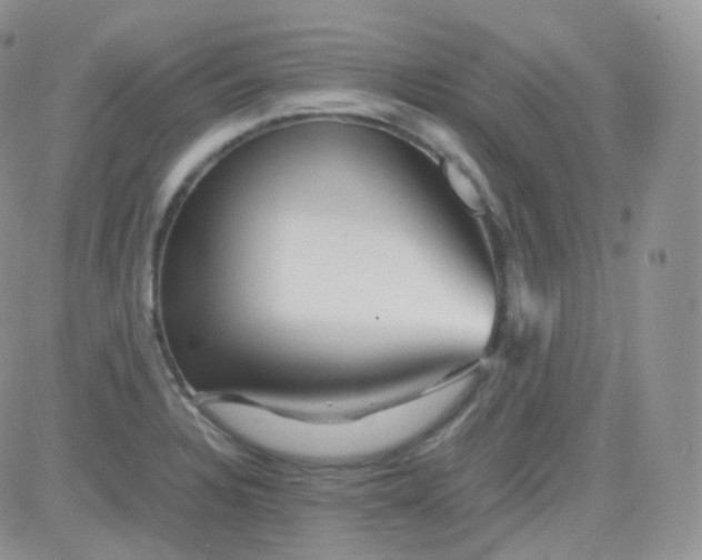 X0000081491328200701262044