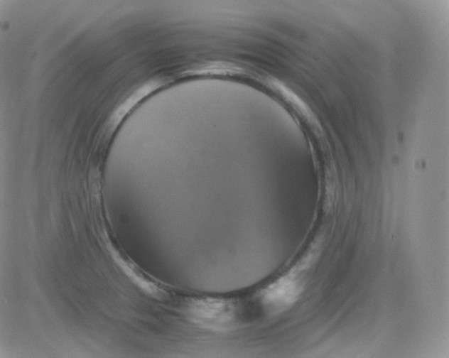 X0000081491329200701262044