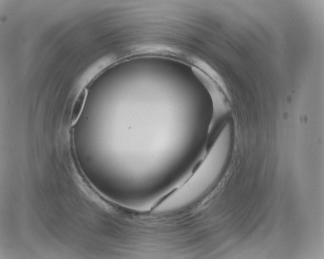 X0000081491330200701262044