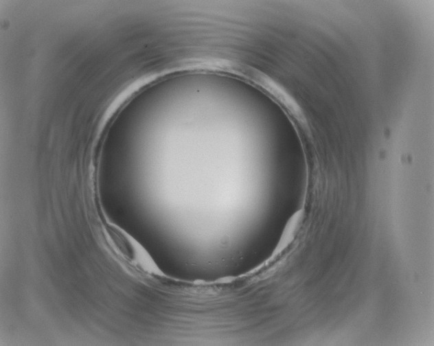 X0000081491332200701262044