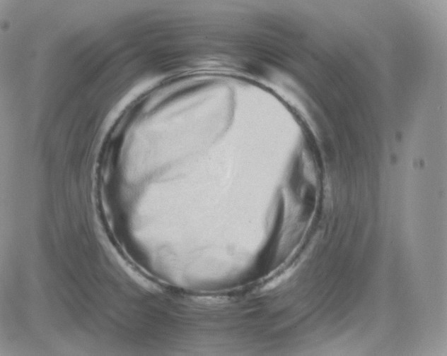 X0000081491333200701262044