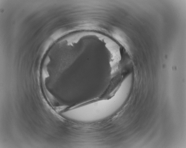 X0000081491334200701262044