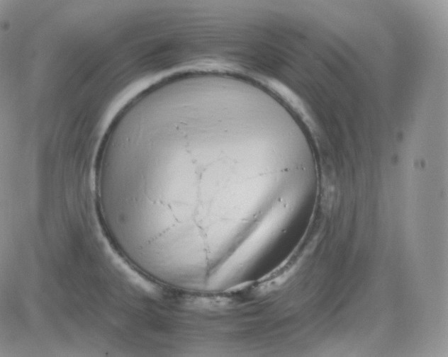 X0000081491335200701262044