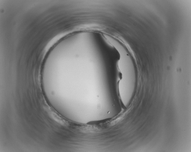 X0000081491336200701262044