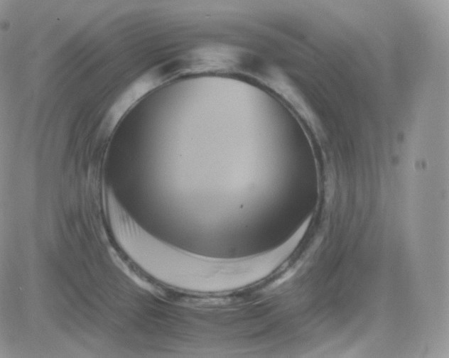 X0000081491337200701262044