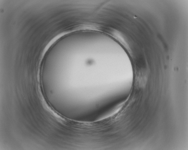 X0000081491339200701262044