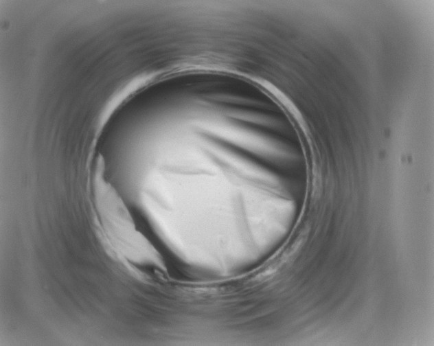 X0000081491341200701262044