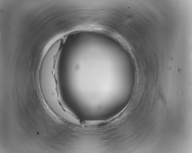 X0000081491344200701262044