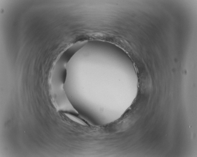 X0000081491345200701262043