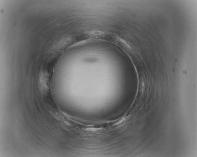 X0000081491346200701262043