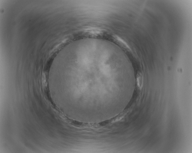 X0000081491347200701262043