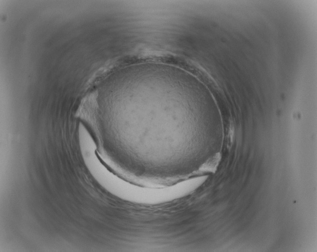 X0000081491348200701262043