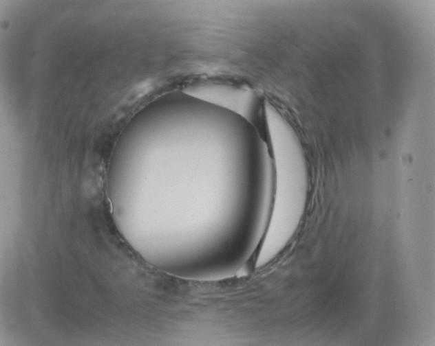 X0000081491349200701262043