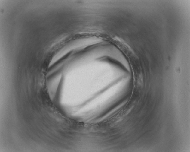 X0000081491350200701262043