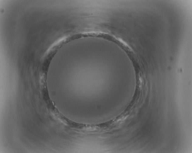 X0000081491351200701262043