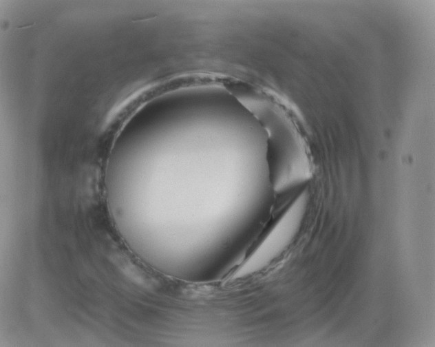 X0000081491352200701262043