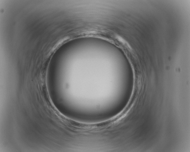 X0000081491353200701262043