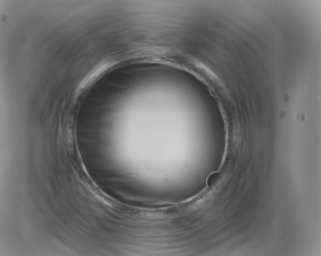 X0000081491354200701262043