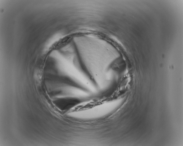 X0000081491355200701262043