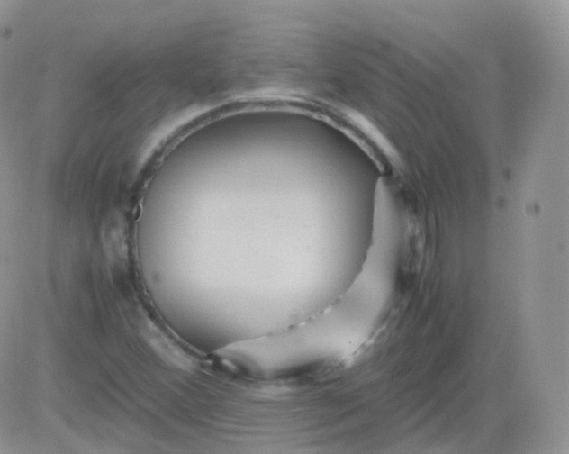 X0000081491356200701262043