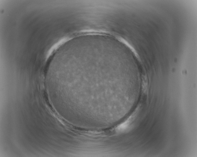 X0000081491357200701262043