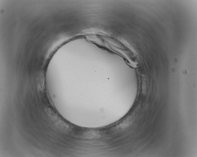 X0000081491358200701262043